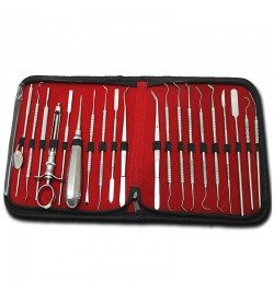 20 Pcs Professional Dental Student Kit